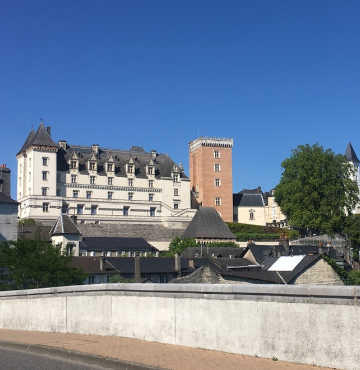 château de pau couleur